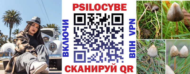Купить закладки  Островной  Псилоцибиновые грибы Psilocybe 